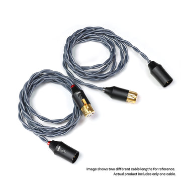 DDHIFI BC30XLR